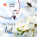 Murano Leylek Marteniçka Bileklik